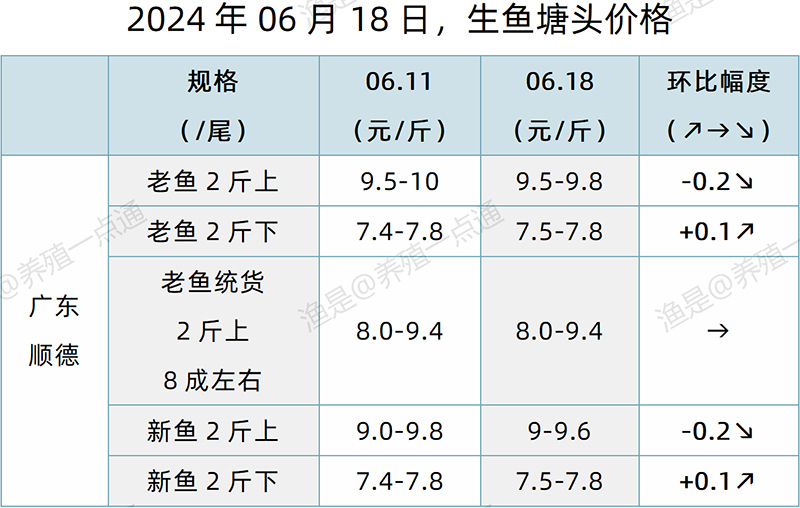 【渔是特约】2024.06.18，鳜鱼、加州鲈、生鱼、黄颡鱼塘头价格