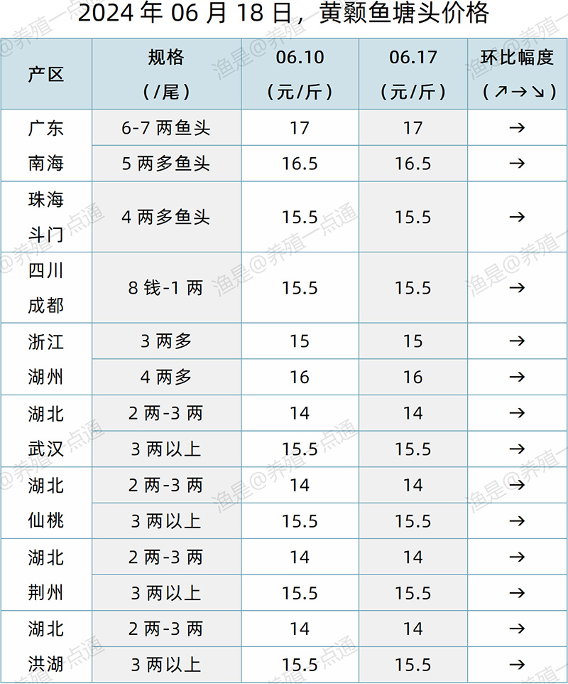 【渔是特约】2024.06.18，鳜鱼、加州鲈、生鱼、黄颡鱼塘头价格