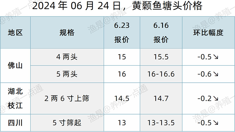 【渔是特约】2024.06.24，草鱼、生鱼、罗非鱼、黄颡鱼、加州鲈、大黄鱼、斑点叉尾鮰、石斑鱼、牛蛙、泰蛙、黑斑蛙塘头价格