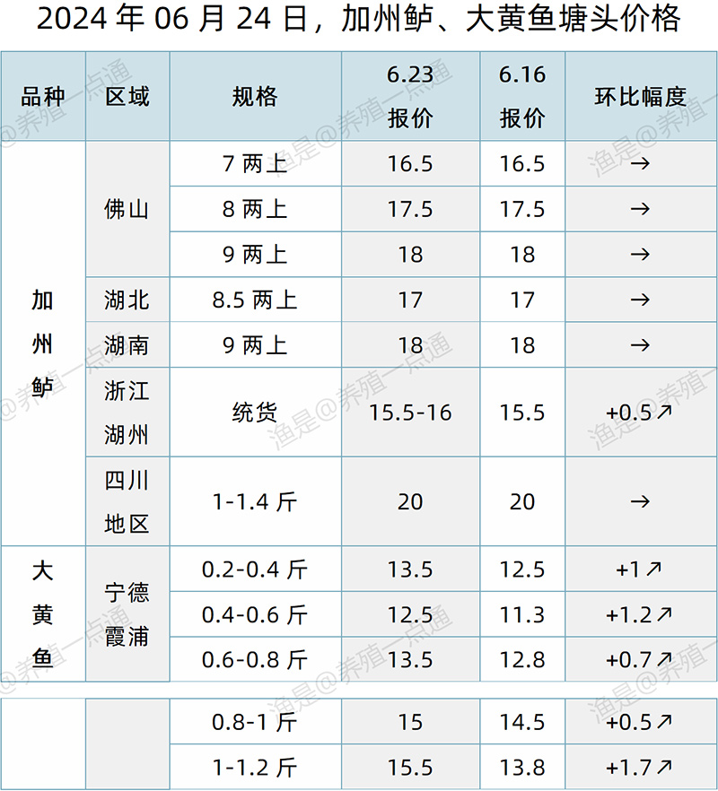 【渔是特约】2024.06.24，草鱼、生鱼、罗非鱼、黄颡鱼、加州鲈、大黄鱼、斑点叉尾鮰、石斑鱼、牛蛙、泰蛙、黑斑蛙塘头价格