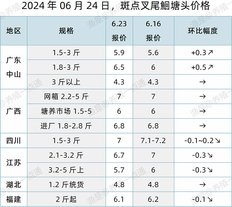 【渔是特约】2024.06.24，草鱼、生鱼、罗非鱼、黄颡鱼、加州鲈、大黄鱼、斑点叉尾鮰、石斑鱼、牛蛙、泰蛙、黑斑蛙塘头价格