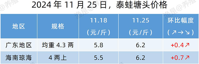 【渔是特约】2024.11.25，草鱼、罗非鱼、加州鲈、斑点叉尾鮰、牛蛙、泰蛙、黑斑塘头价格