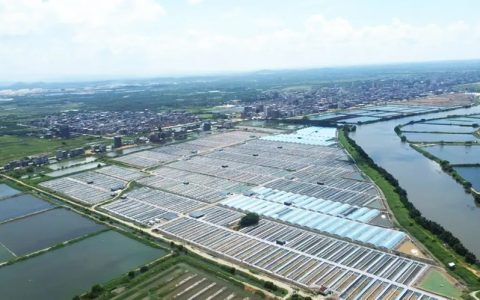500张小棚出虾75万斤，第二批1200亩即将启动建设