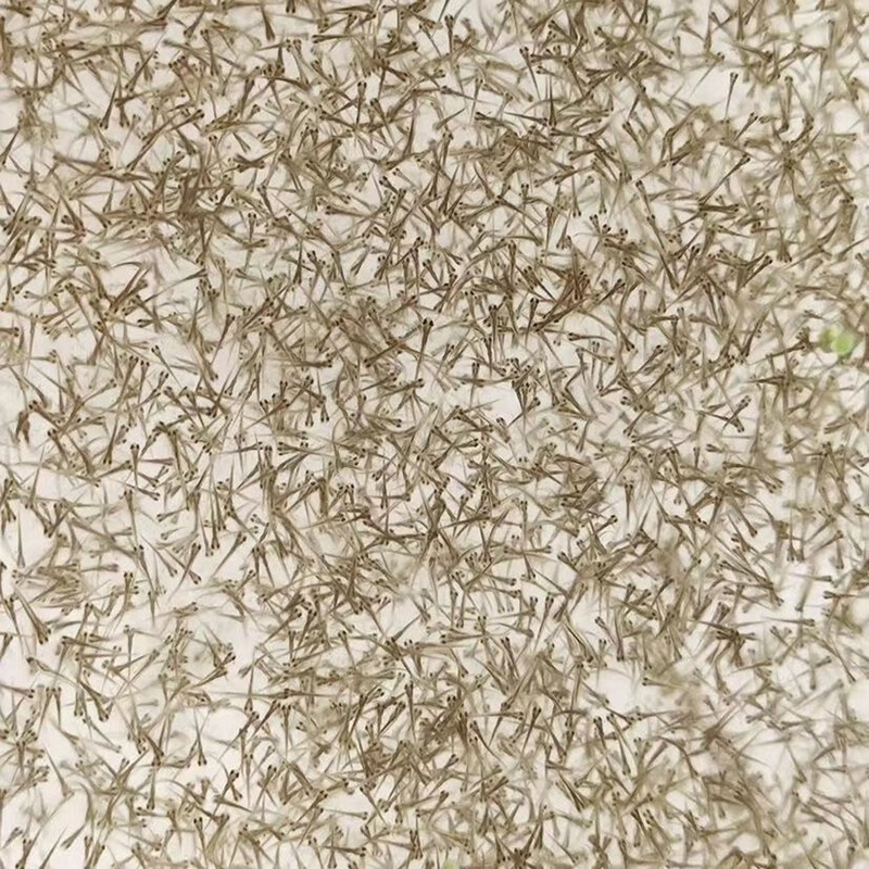 五种水花苗培壮奶粉，保肝护肠提成活率