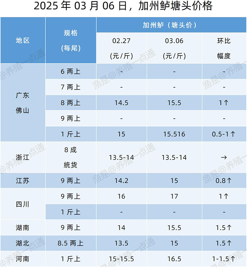 【渔是特约】2025.03.06，对虾、加州鲈塘头价格