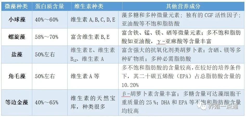 【藻类】有益藻类在水产养殖中的应用:供氧、生态环境、育苗