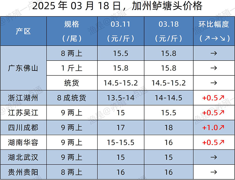 【渔是特约】2025.03.18，加州鲈、生鱼、黄颡鱼、江团塘头价格