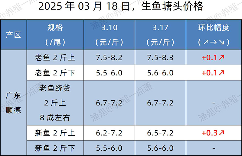 【渔是特约】2025.03.18，加州鲈、生鱼、黄颡鱼、江团塘头价格