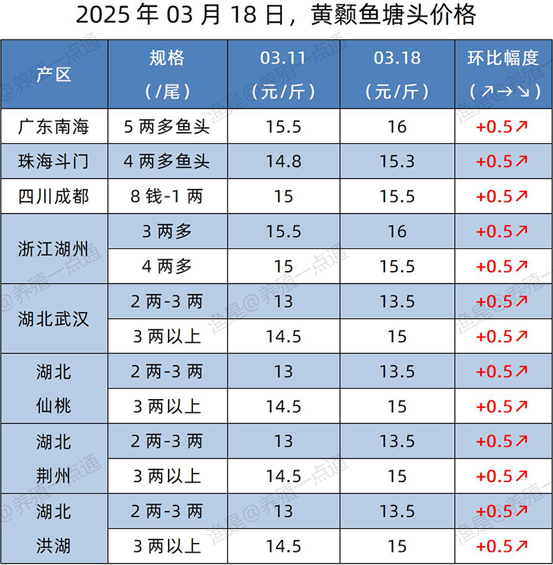 【渔是特约】2025.03.18，加州鲈、生鱼、黄颡鱼、江团塘头价格