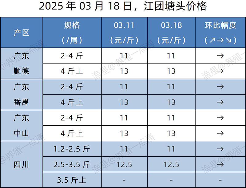 【渔是特约】2025.03.18，加州鲈、生鱼、黄颡鱼、江团塘头价格