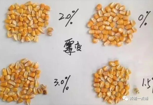 【脱霉剂】夏季多雨，养殖谨防霉菌毒素污染饲料，脱霉剂选择有讲究
