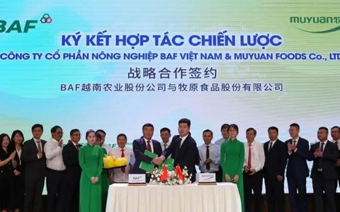 楼房养猪火到海外！越南农业股份公司（BAF）buff叠加牧原，合作楼房养猪项目