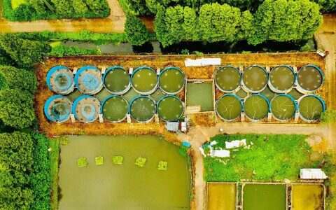 循环水养殖国内发展现状，品种、创新、挑战…