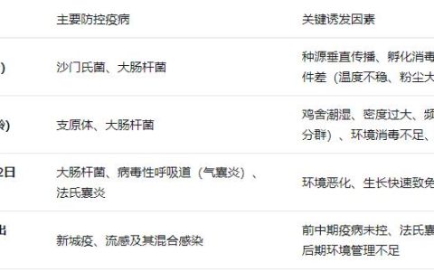 肉鸡养殖全周期疫病防控和科学用药策略