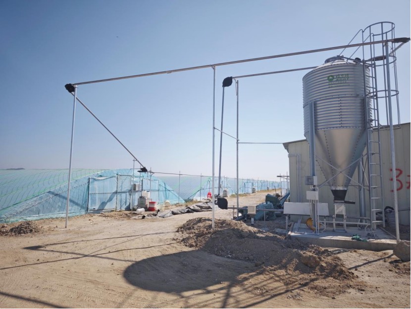 中棚虾🦐养殖模式简介，PK小棚、工厂化高位池优劣比较