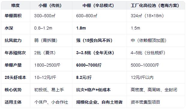 中棚虾🦐养殖模式简介，PK小棚、工厂化高位池优劣比较