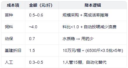 中棚虾🦐养殖模式简介，PK小棚、工厂化高位池优劣比较
