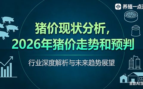 猪价现状分析与2026年走势预判