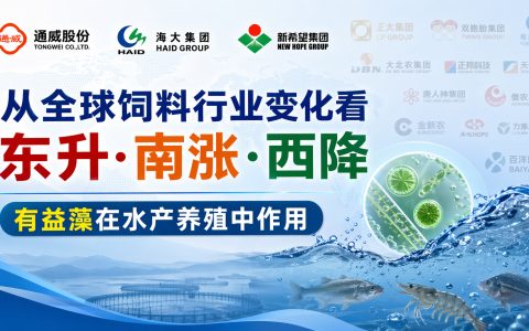 【饲料】从全球饲料行业变化看东升南涨西降，非洲爆发，潜力无限