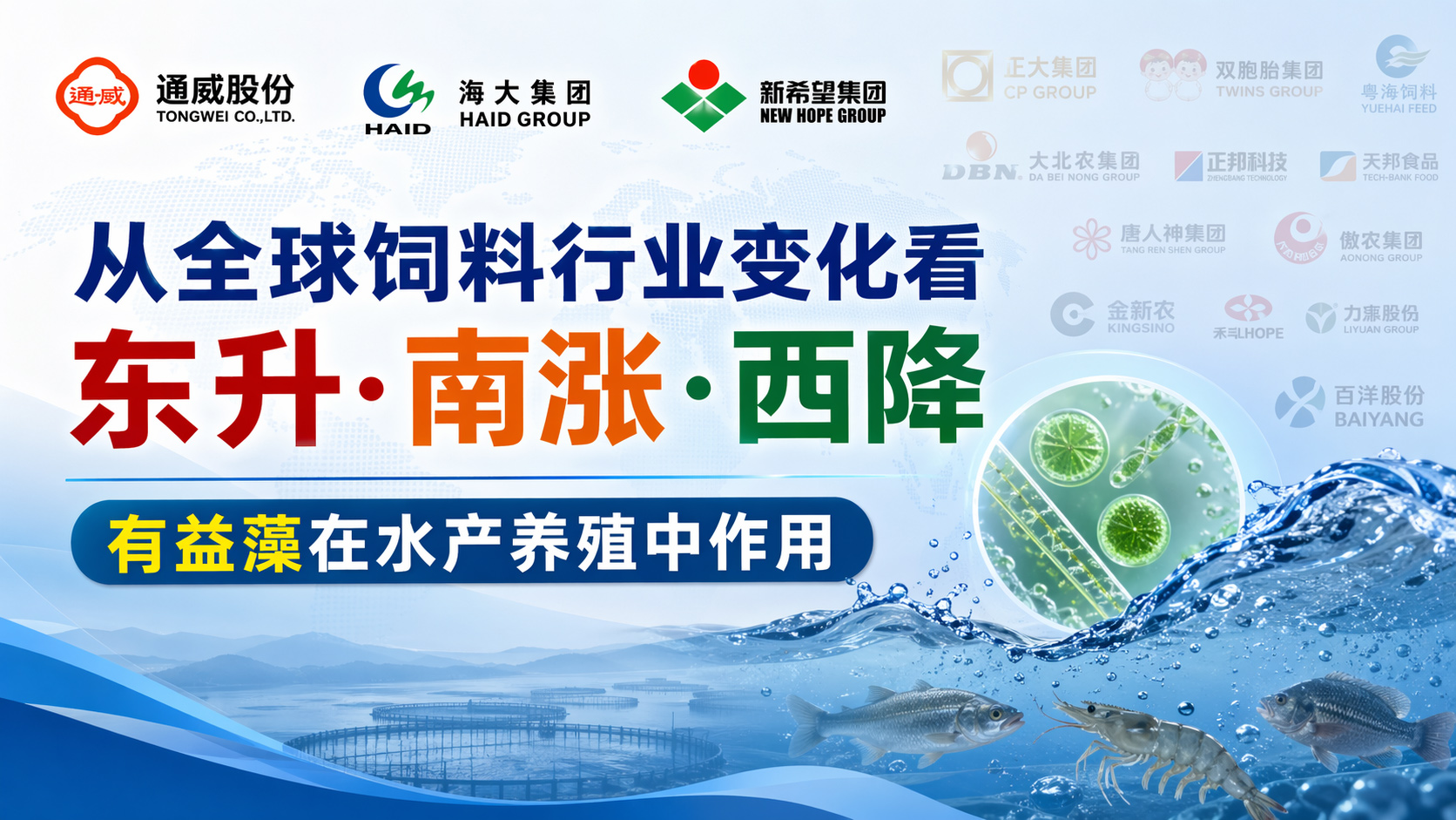 从全球饲料行业变化看东升南涨西降