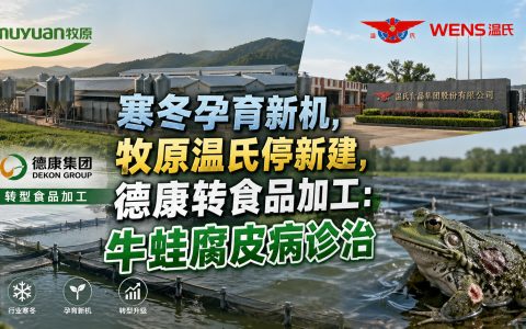 【猪企】牧原温氏停新建猪场，德康转食品加工，降能繁母猪，堵二次育肥