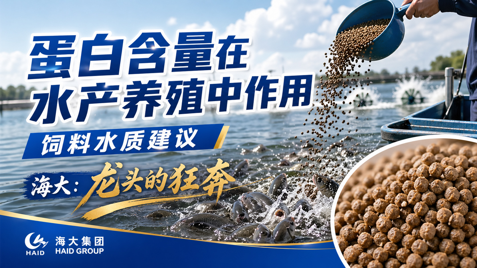 蛋白含量在水产养殖中的作用，海大龙头的狂奔