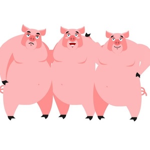 三家猪的头像