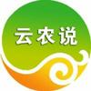云农说的头像